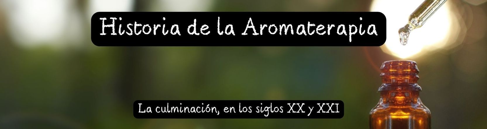 Empieza el Siglo XX y llegamos a la actualidad del XXI