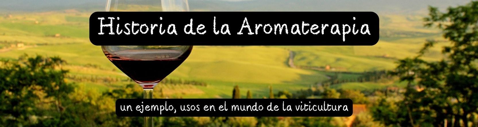 Un ejemplo, uso de la Aromaterapia en viticultura