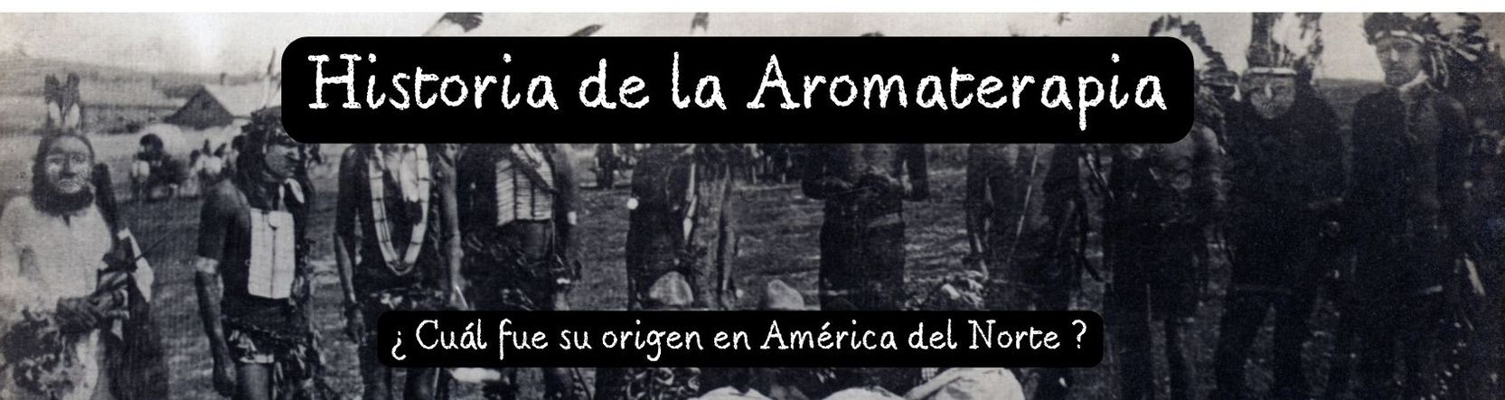 Información sobre el origen del uso de las plantas medicinales en las culturas indígenas de América del Norte.