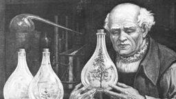 Phillipus Therophrastus Bombstus von Hohenheim