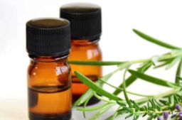 Aromatización y fragancias