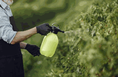 Control de Plagas Agrícolas:
