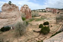  Botánica Navajo
