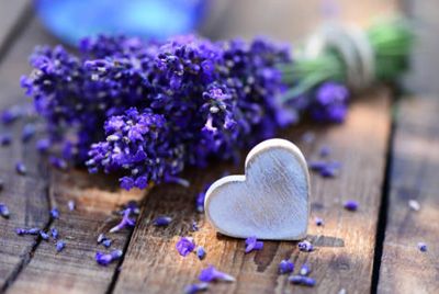 Curso de Aromaterapia, La esencia de las emociones