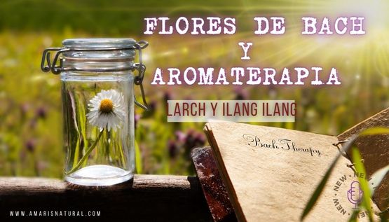 Flor a flor del Curso Esencial Bach Flor a flor del Curso Esencial Bach
