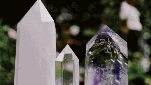 Cursos de Gemoterapia de la Escuela Amaris Natural