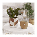 Difusores de ultra Nebulización elegantes y para decoración