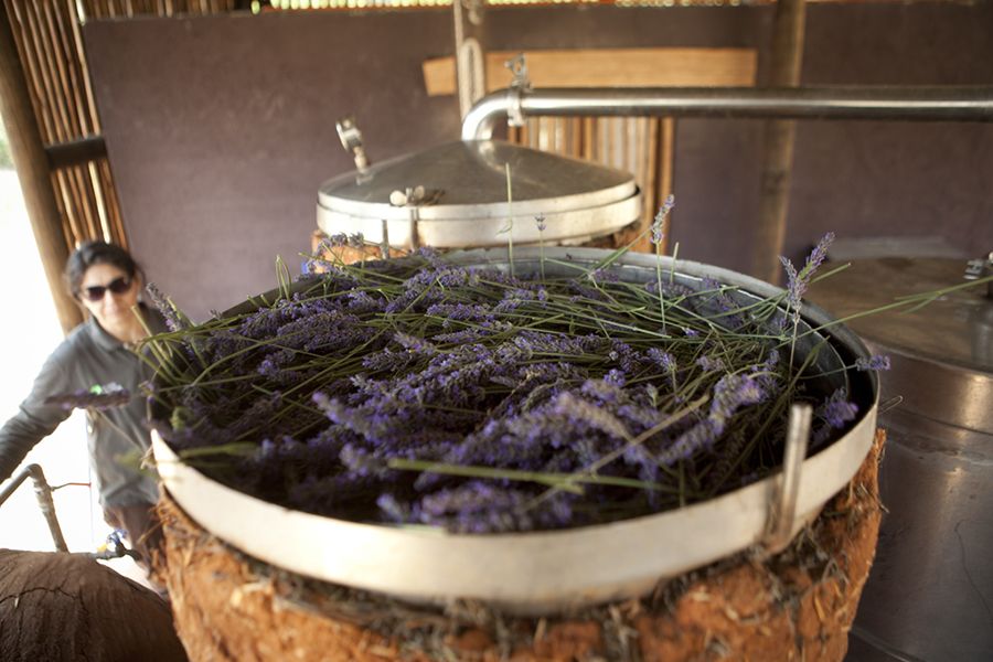 Uno de esos lugares increibles de la Aromaterapia