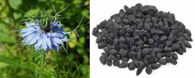 Imagen Aceite de Comino Negro. 