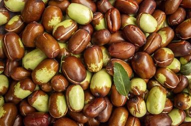 Imagen Aceite de Jojoba. corteza. 
