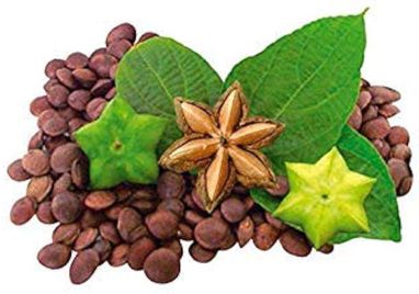 Imagen Aceite de Sacha Inchi. 