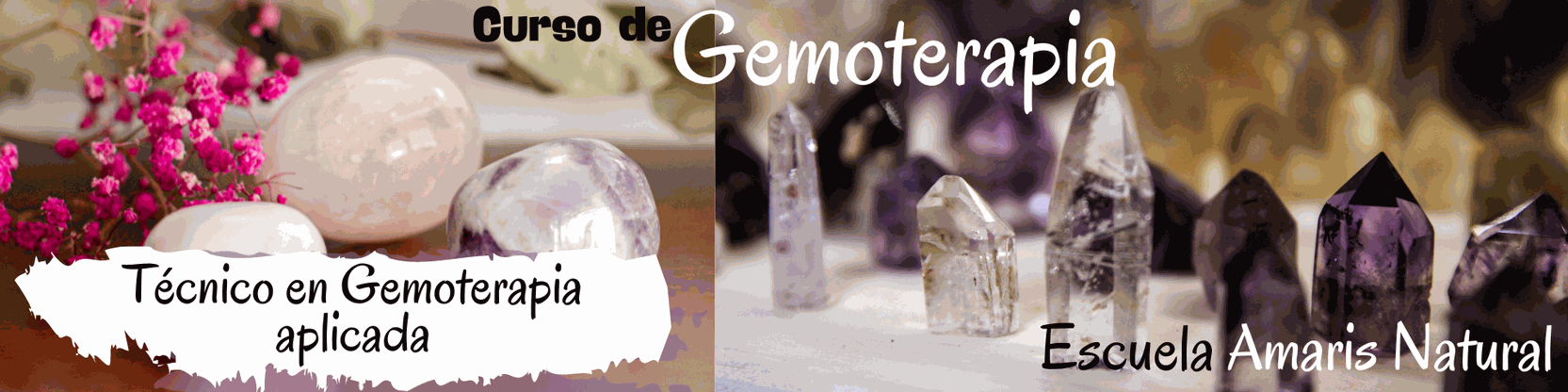 Cabecera del Curso de Técnico en Gemoterapia aplicada
