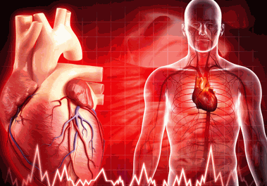 Cuerpo físico del Curso Técnico avanzado en Gemoterapia Imagen de un Cuerpo físico