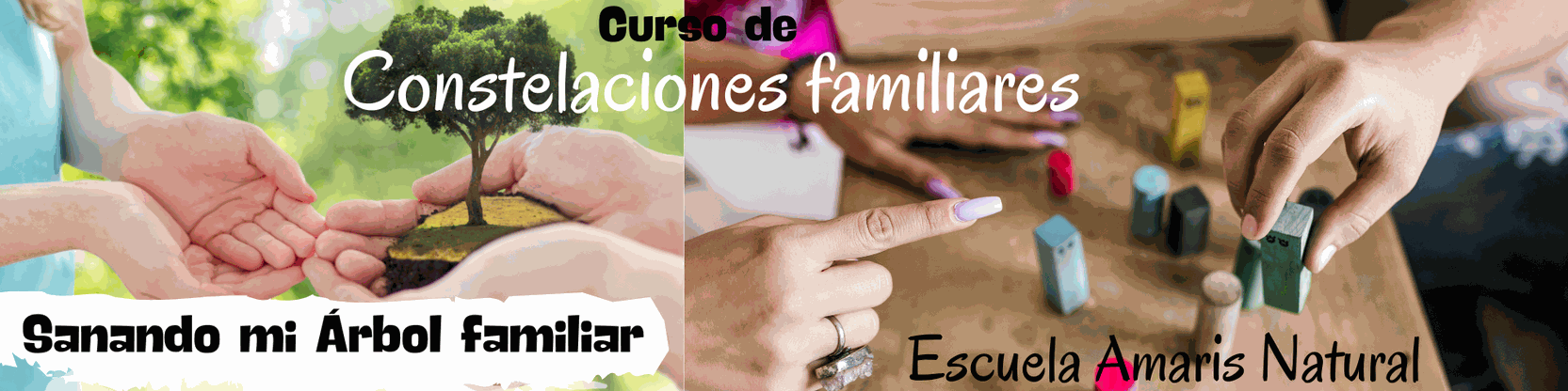 Cabecera del Curso de Constelaciones Familiares &quot;Sanando mi Árbol familiar&quot;