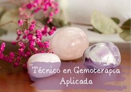 Imagen del curso de técnico de gemoterapia avanzada