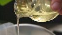 destilación de aceites esenciales