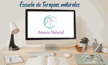Imagen de Amaris en un ordenador
