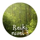 Imagen del curso de Reiki nivel 3