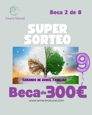 Beca Curso Sanando mi árbol familiar Beca 2 de 8
