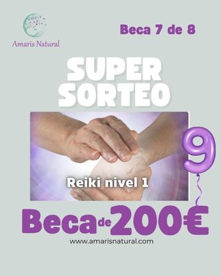 Beca del curso de Reiki nivel 1 Beca 7 de 8