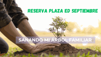 Reserva tu plaza en el curso Sanando mi Árbol familiar.
