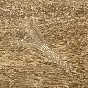 155.webp