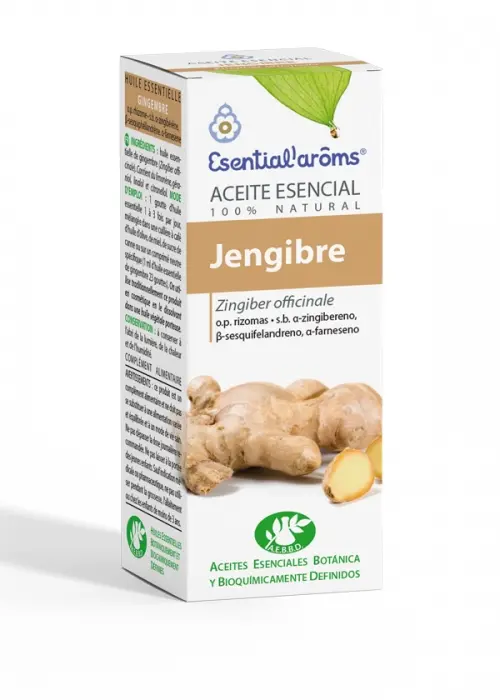 Ae Jengibre