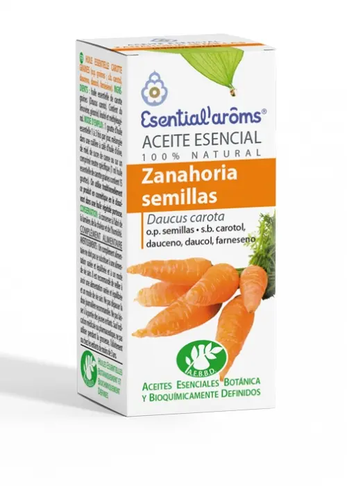 Ae Zanahoria Semillas