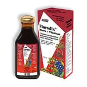 Floradix 250 ml