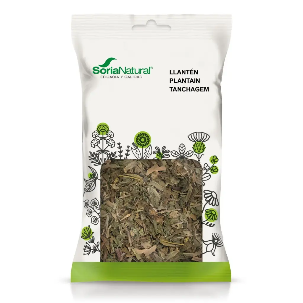 Llantén hoja Soria Natural