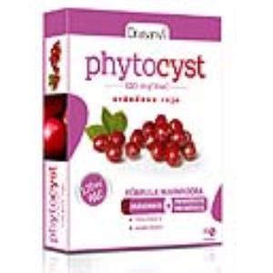 Phytocyst  30 comp. Drasanvi