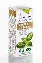 Ae Basilico (Albahaca) BIO