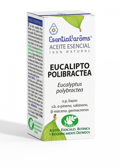 Ae Eucalipto Polibractea 5 ml