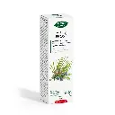 PhytoBiopôle Mix 19 Prost