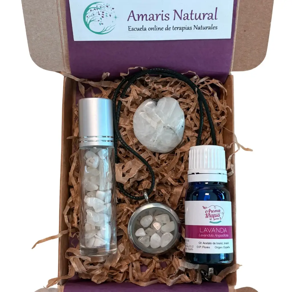  Caja Conexión Femenina