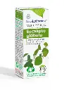Ae Eucalipto Glóbulo 10ml BIO