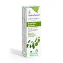 Ae Eucalipto Glóbulo 100ml BIO