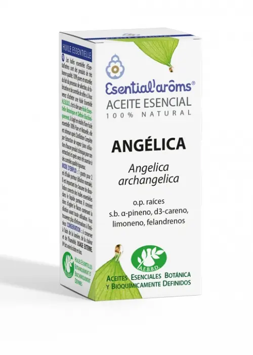 Ae Angélica