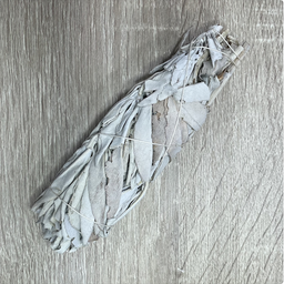 [IN002] Salvia Blanca, 1u