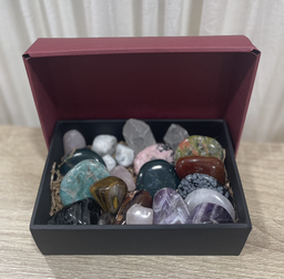 [KIT017] Kit para el Curso de Técnico avanzado en Gemoterapia    (2º nivel)
