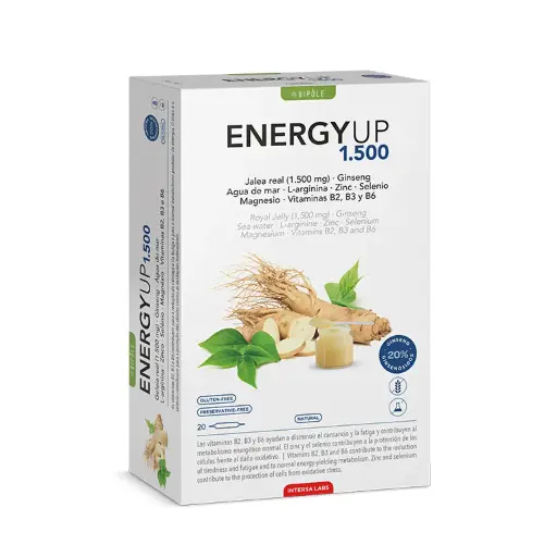 [22317] Bipôle Energyup 1500