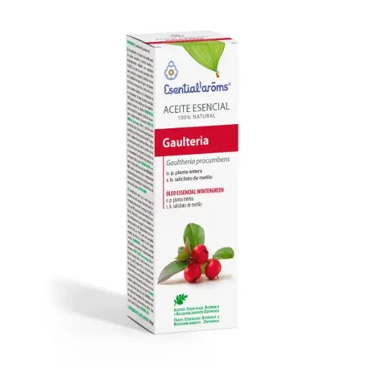 [AE043-100] Ae Gaulteria 100 ml